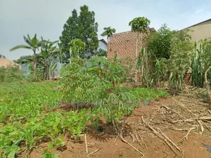 Plots on Sale in Matugga Kigogwa