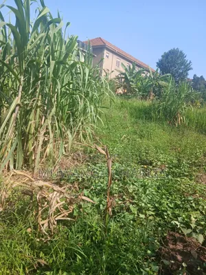 Plots on Sale in Gayaza Magere