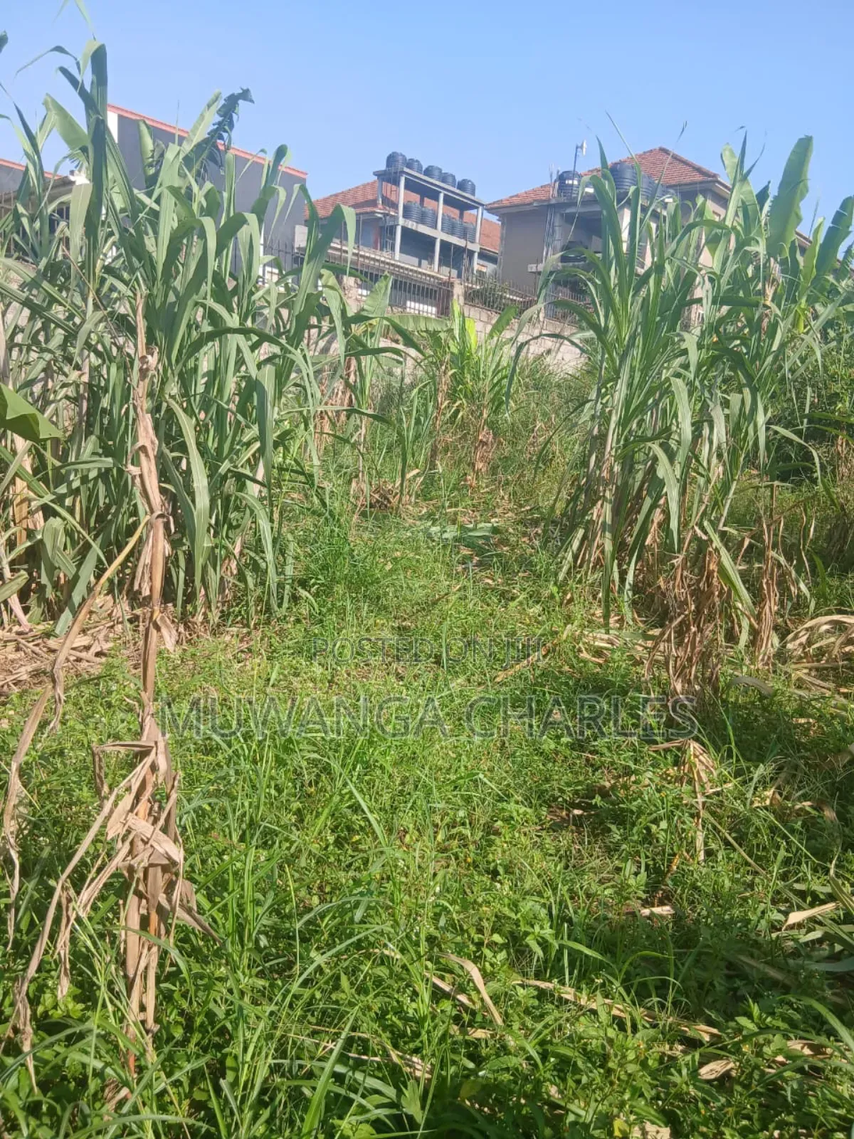 Plots on Sale in Gayaza Magere