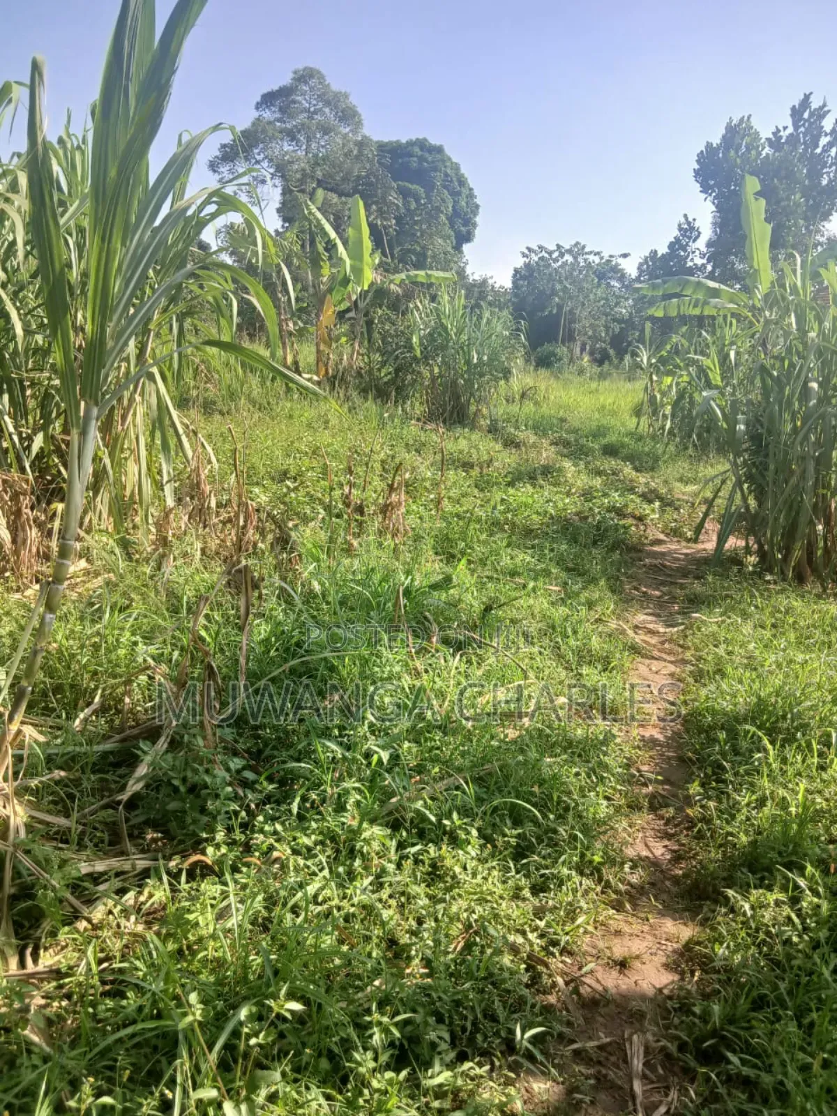 Plots on Sale in Gayaza Magere