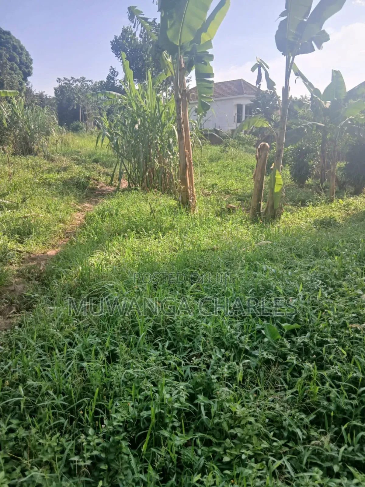 Plots on Sale in Gayaza Magere