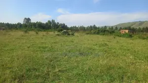 12.5 Decimals [50fts by 100ft] at 23m From 30m. Biharwe Town Mbarara.
