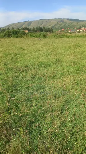 12.5 Decimals [50fts by 100ft] at 23m From 30m. Biharwe Town Mbarara.