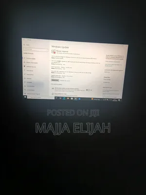 Remote Computer Technician