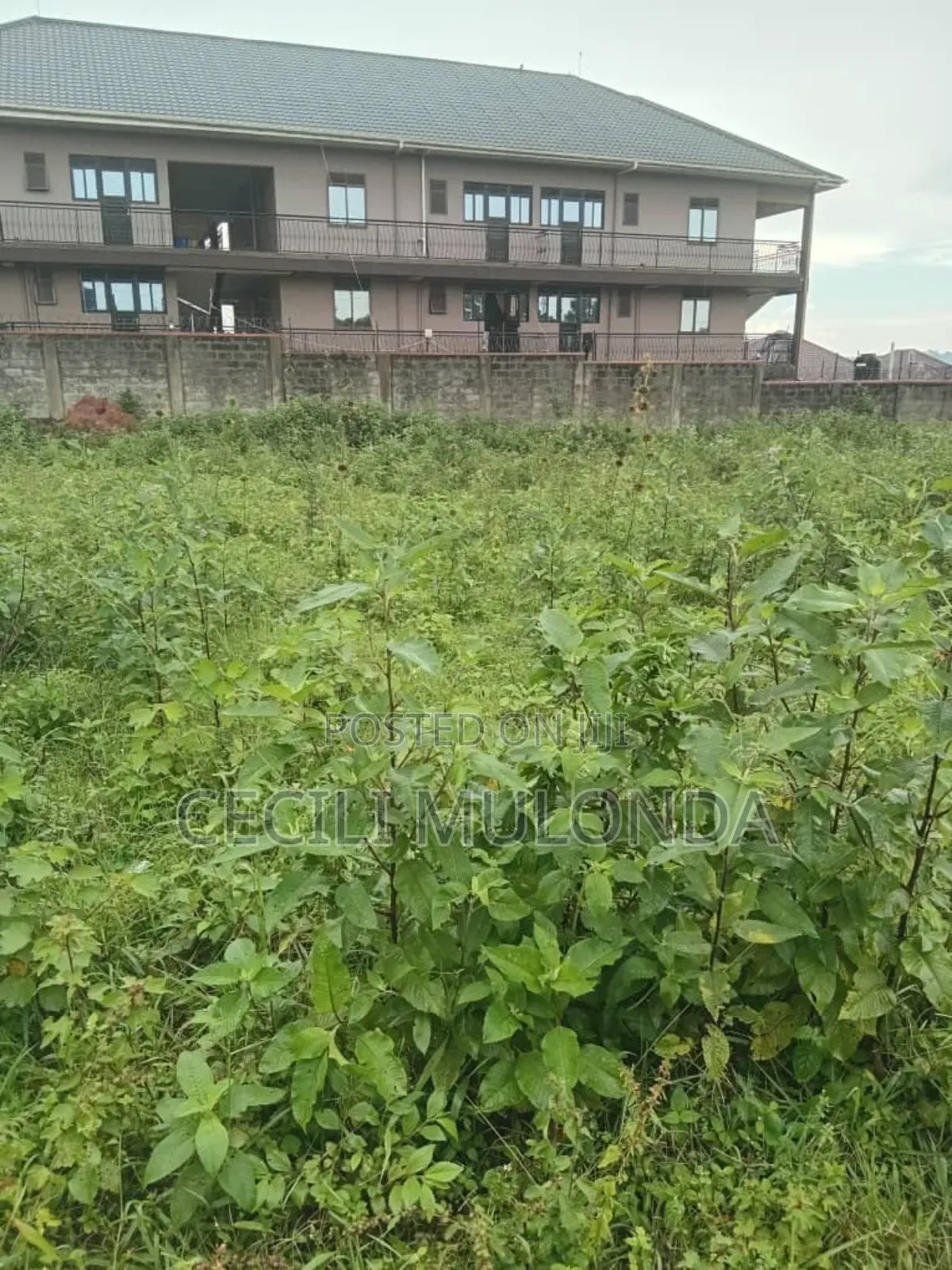 50 by 100 Plot in Kawuku Entebbe Rd