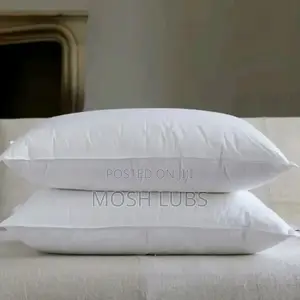 A Pair of Dr.Cozy Fibre Pillows