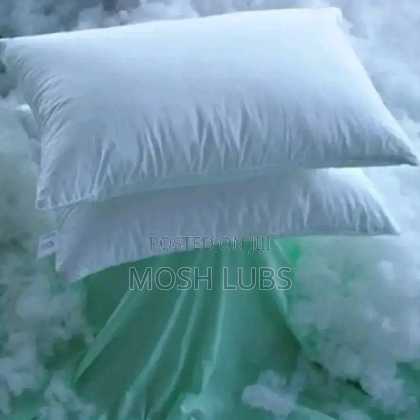 A Pair of Dr.Cozy Fibre Pillows