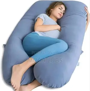 Fine Pregnancy Pillows for Pregnancy Mothers