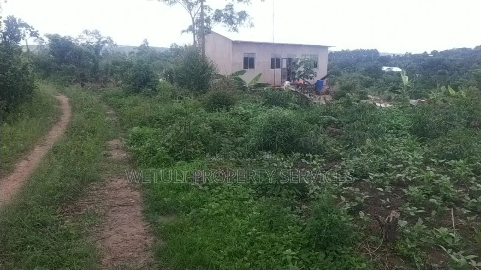 5 Acres for Farm Land for Sell at Masulita Lugugunde