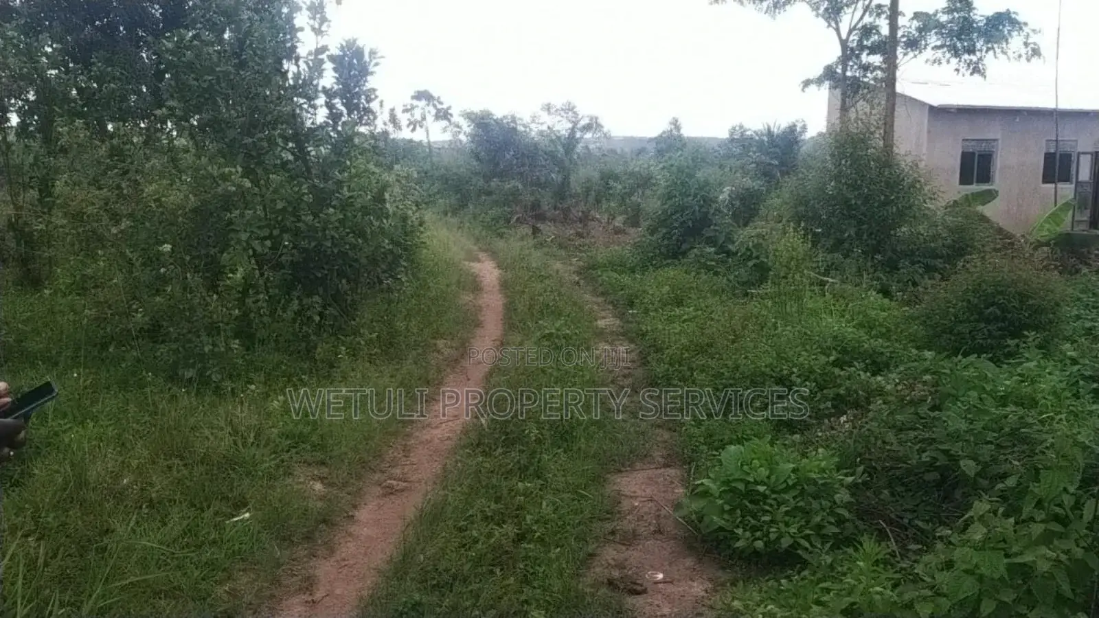 5 Acres for Farm Land for Sell at Masulita Lugugunde