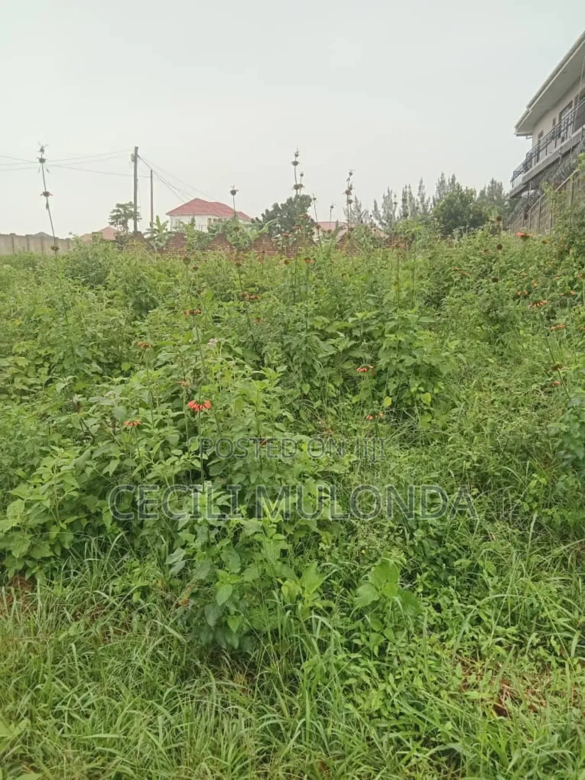Plot 50 by 100 Bwerenga on Entebbe Rd Mailo Land Title