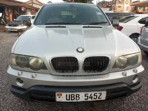 BMW X5 2005 Gray
