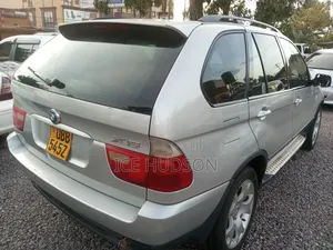 BMW X5 2005 Gray