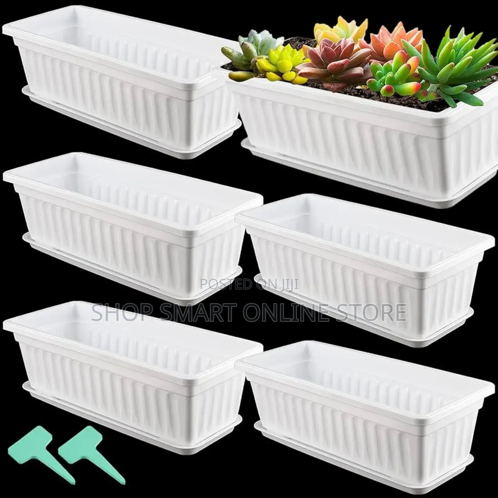 Flower Pots Flower Pots Orchid