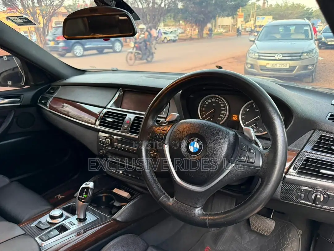 BMW X6 2010 Gray