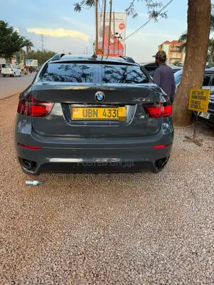 BMW X6 2010 Gray