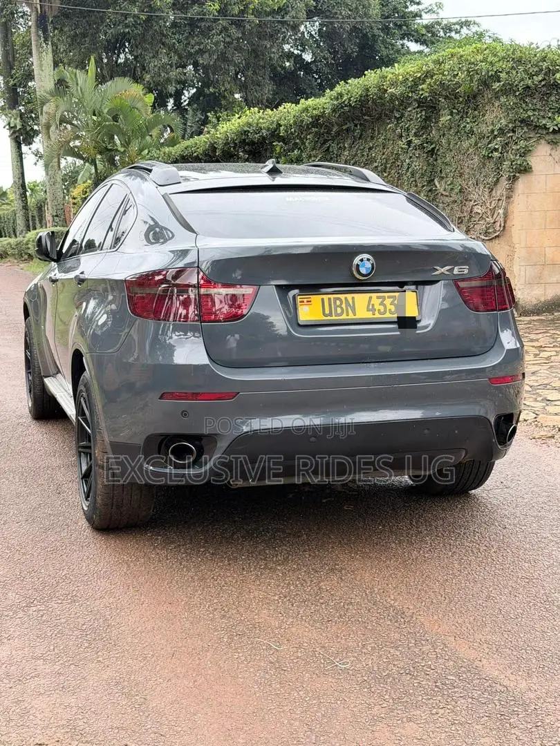 BMW X6 2010 Gray