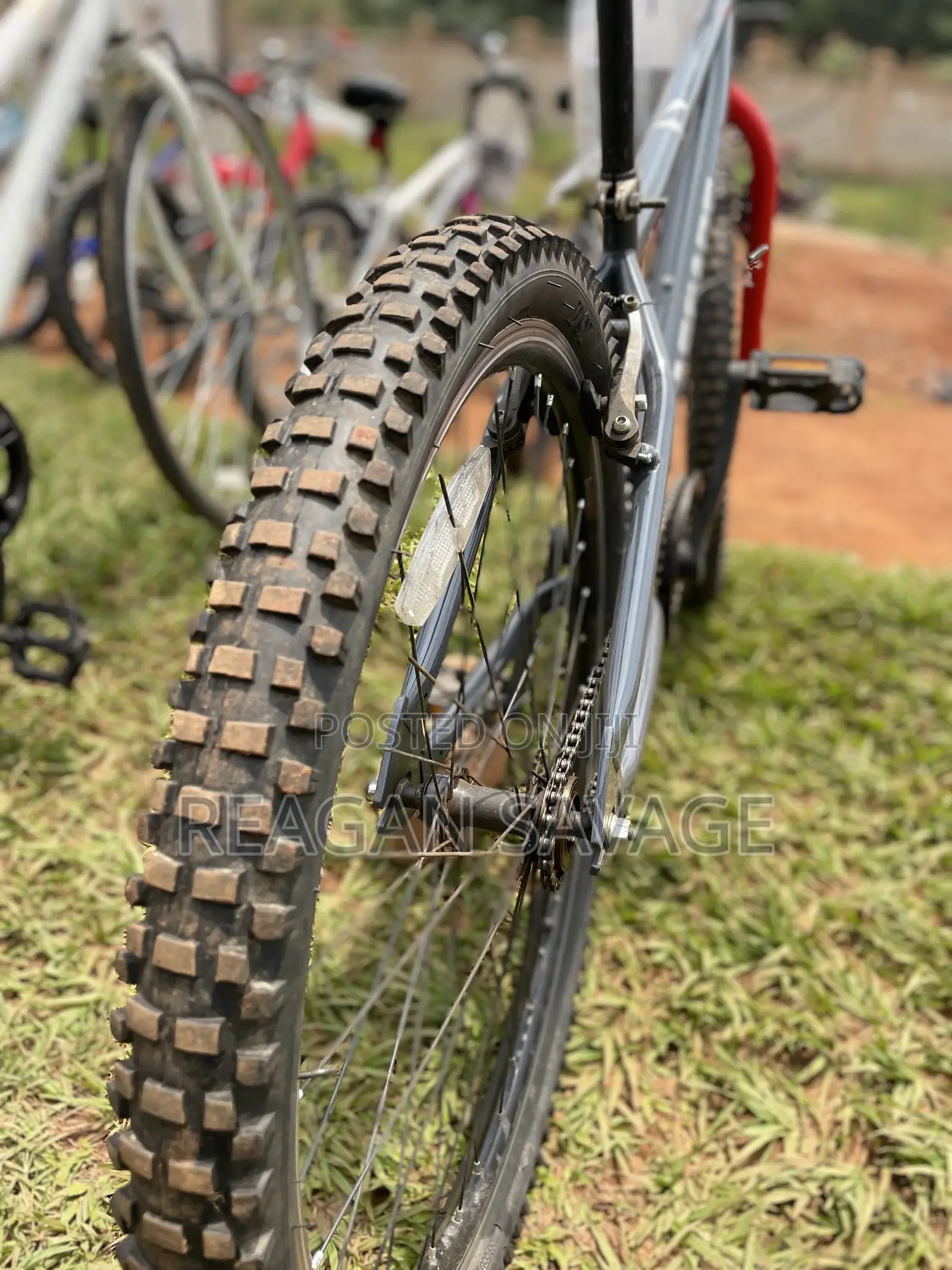 Cascade Mountain Bike
