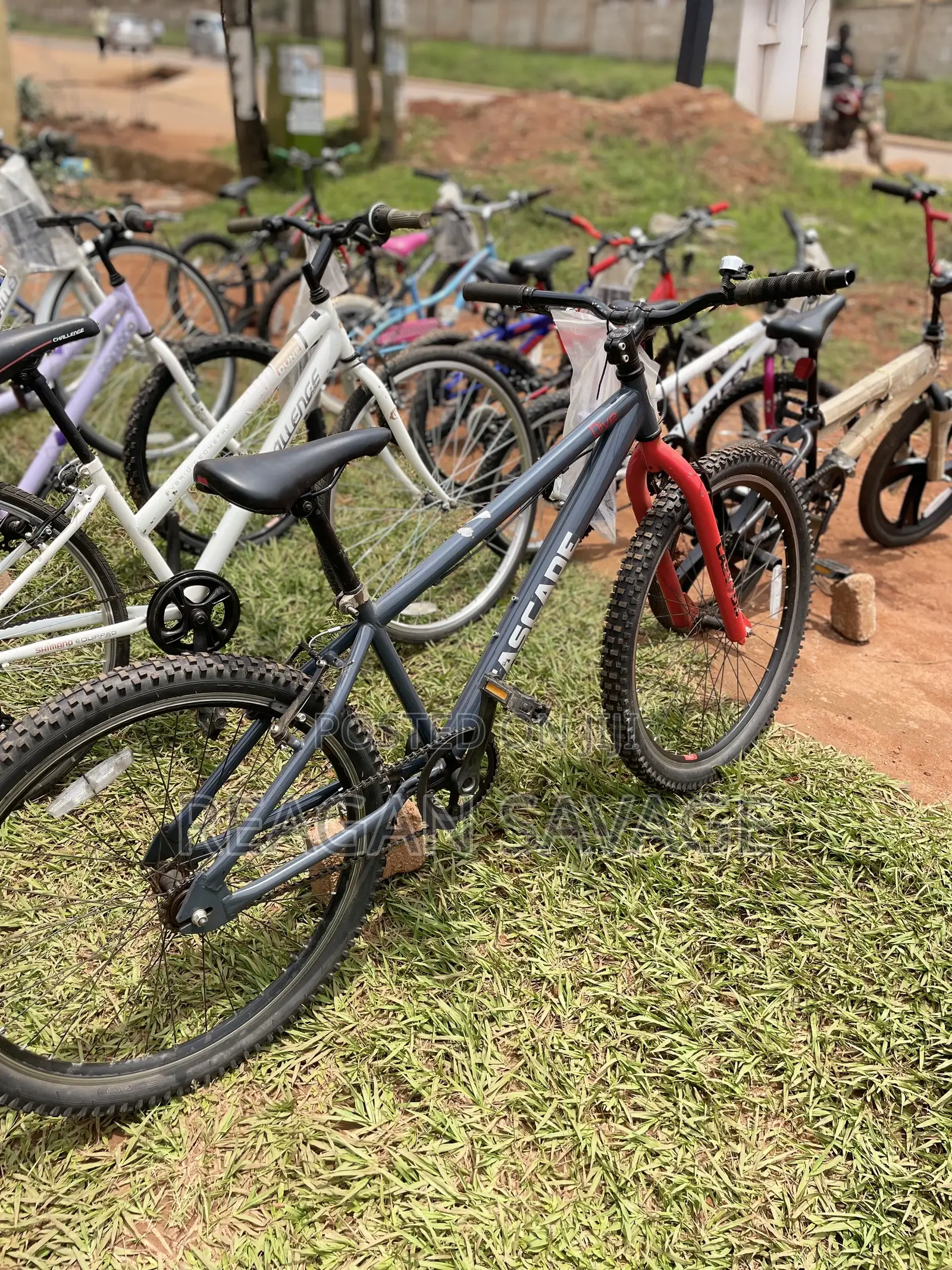 Cascade Mountain Bike