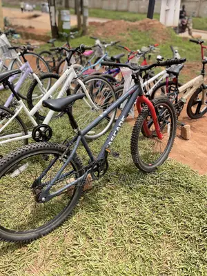 Cascade Mountain Bike