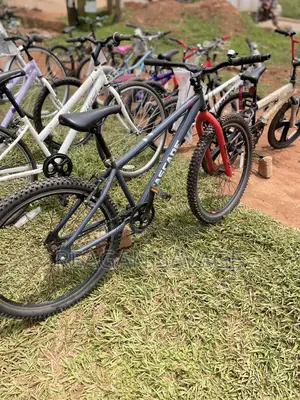 Cascade Mountain Bike