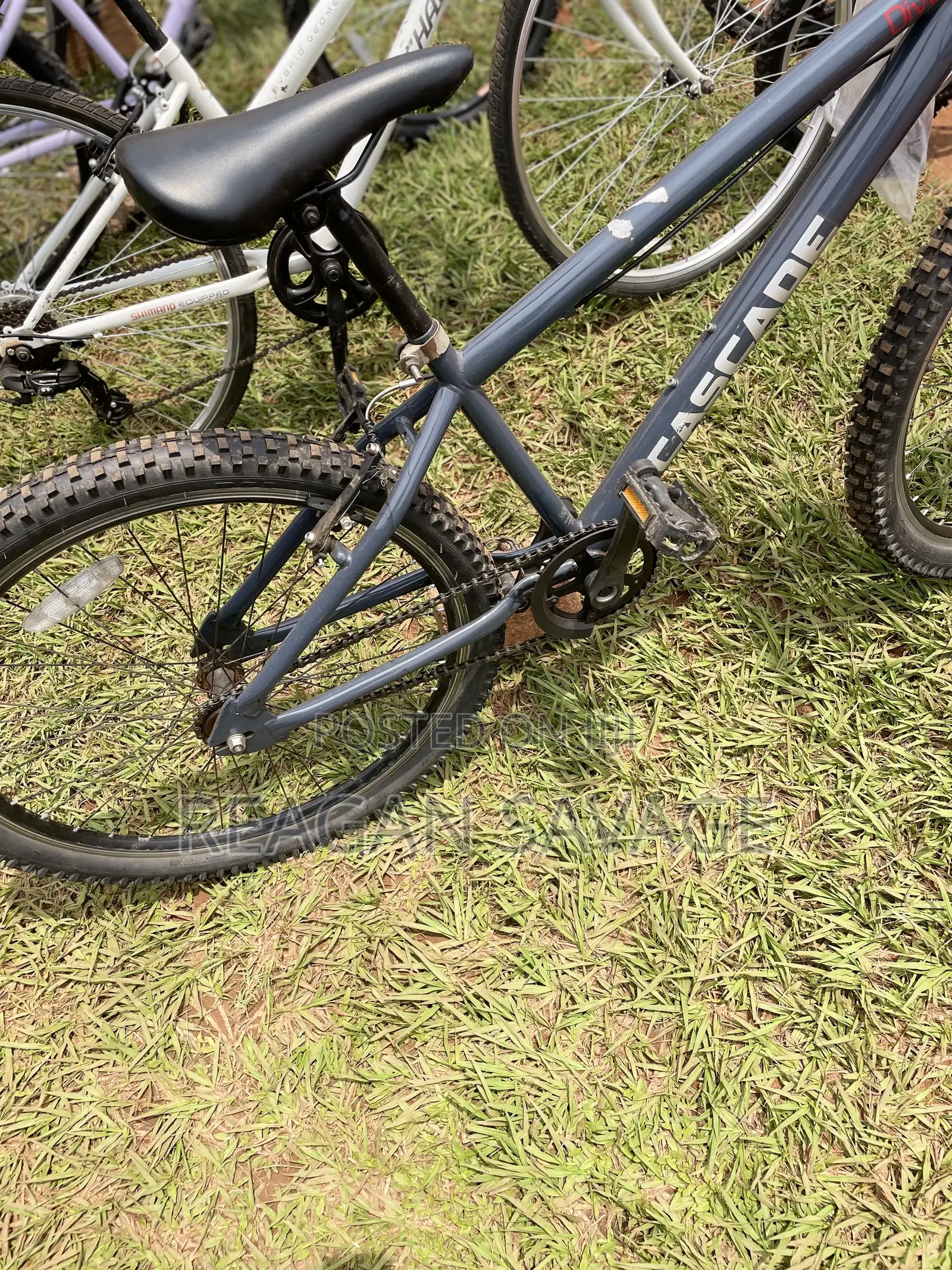 Cascade Mountain Bike