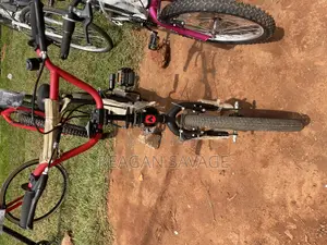 Gred BMX Bike