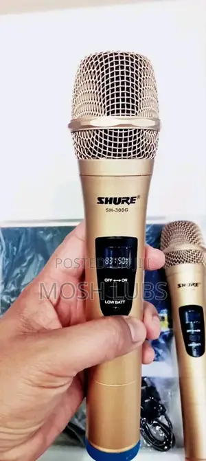 Artist's Vocalist Professional Wireless Microphone {2pcs}