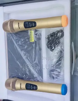 Artist's Vocalist Professional Wireless Microphone {2pcs}
