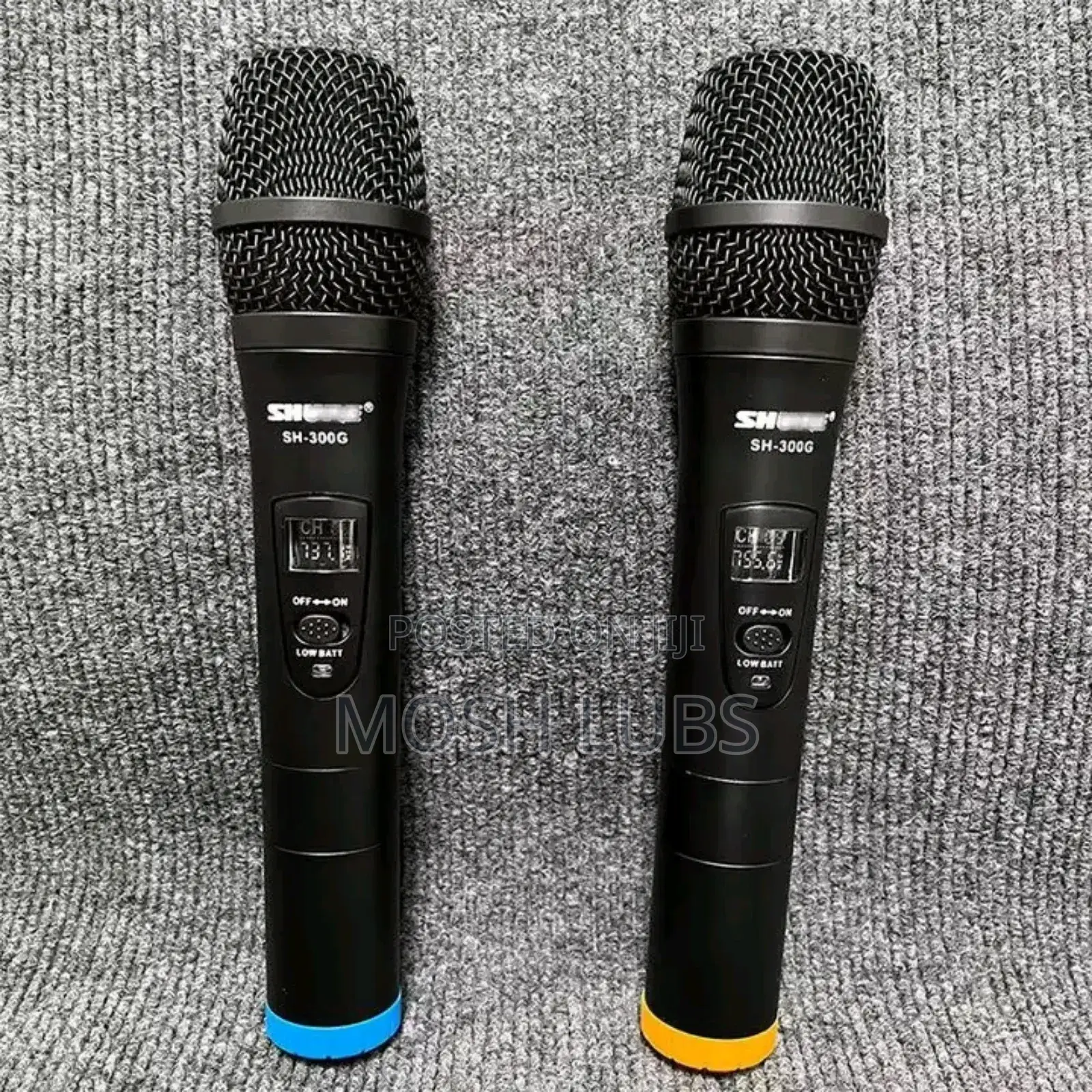 Artist's Vocalist Professional Wireless Microphone {2pcs}