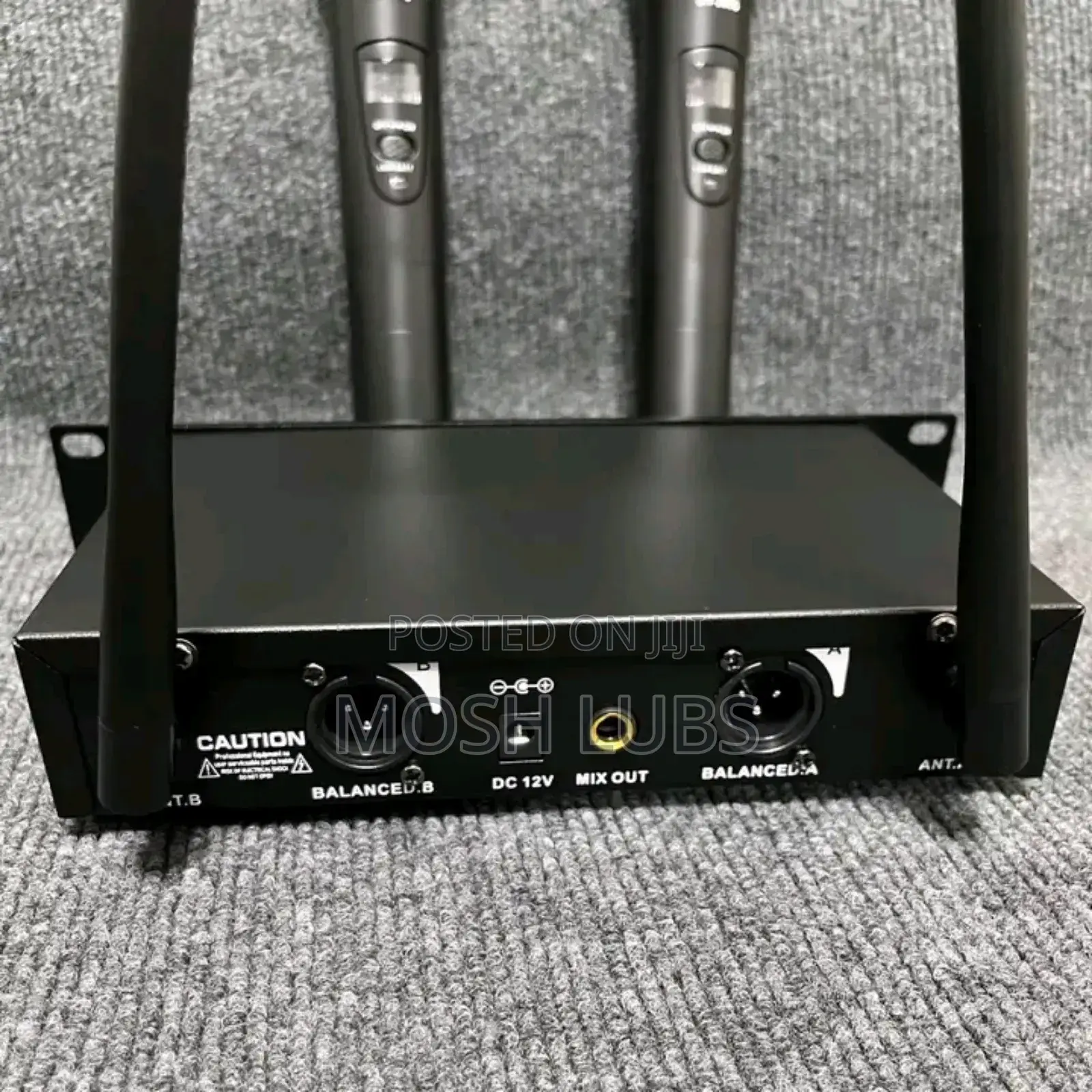 Artist's Vocalist Professional Wireless Microphone {2pcs}
