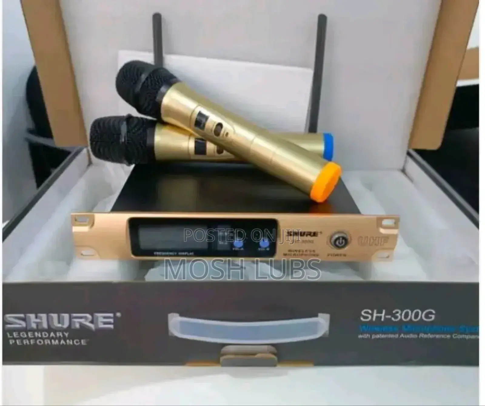 Artist's Vocalist Professional Wireless Microphone {2pcs}