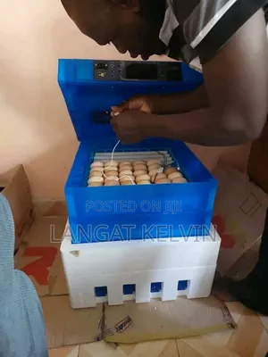 64 Eggs Automatic Incubator
Ac/Dc Powered( Solar and Electricity)