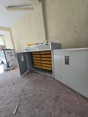 5280 Eggs Incubator
 Ac Powered (1000 W, 240 V)