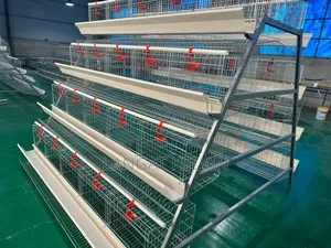 High Quality Battery 160 Capacity Poultry Cages A Type 4 Tier
