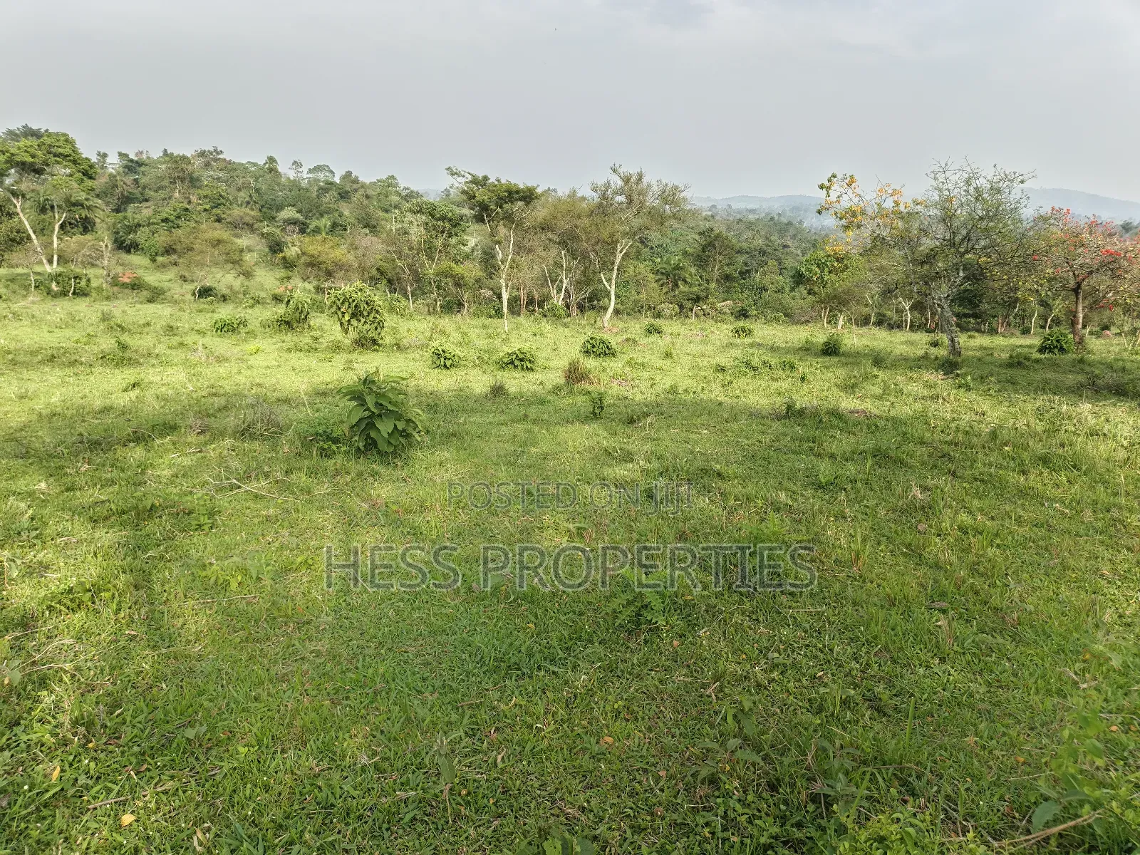 Farmland on Sale
