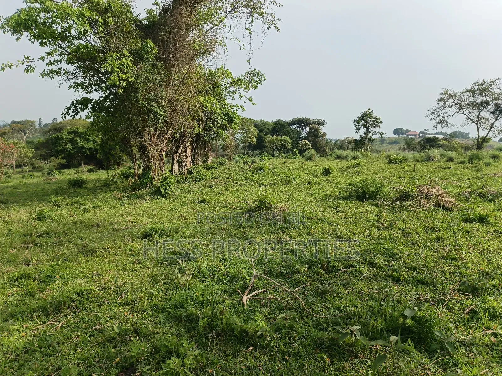 Farmland on Sale