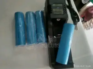 A Pair of Microphone Batteries