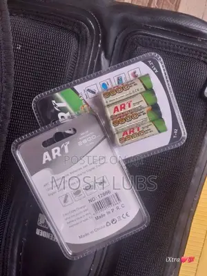 Wired and Wireless Microphone Batteries {In Pairs}