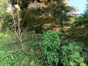 Plots on Sale in Namugongo Bukerere