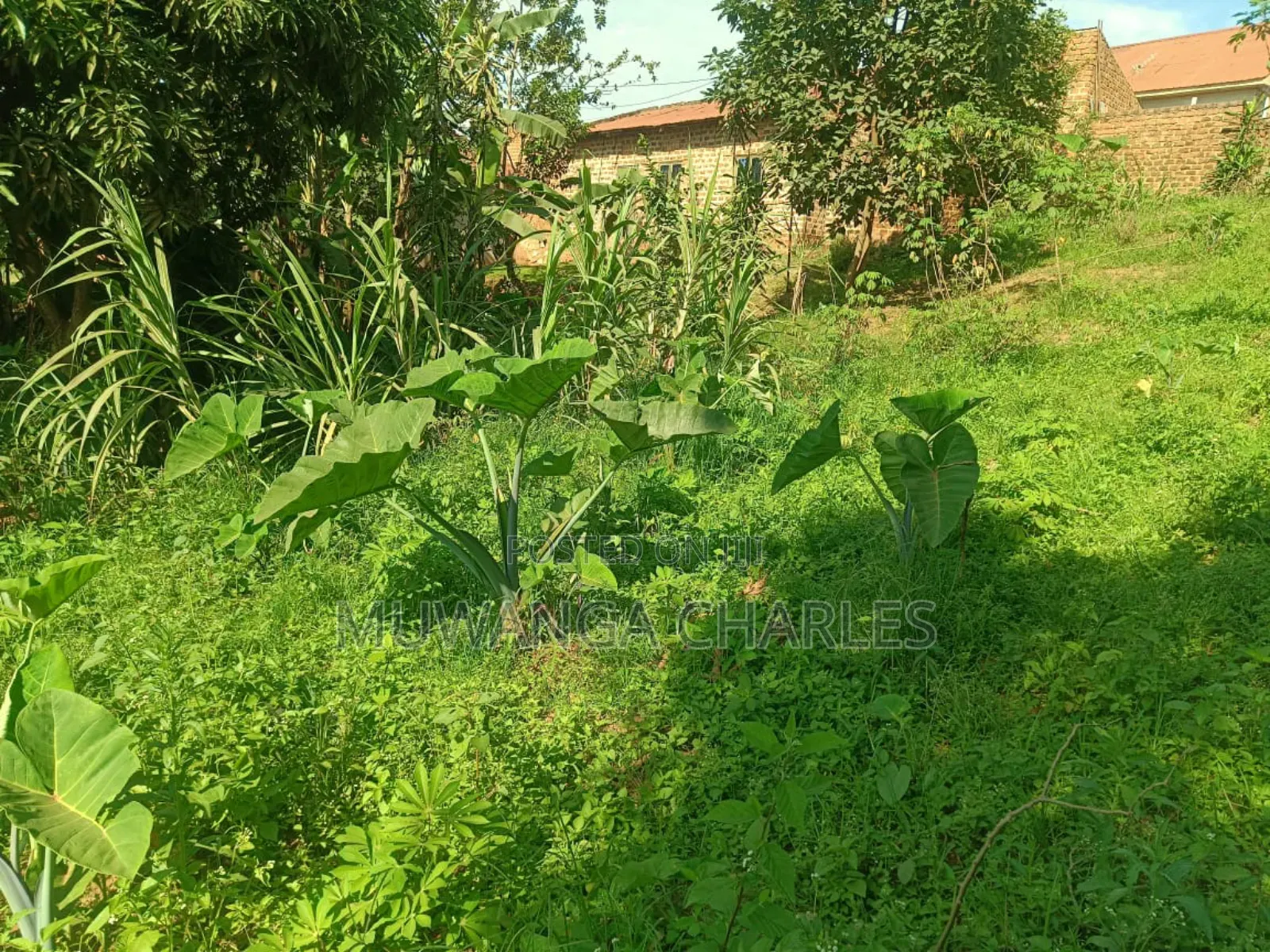 Plots on Sale in Namugongo Bukerere