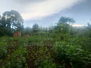 Plots on Sale Kiwenda Luuwunga