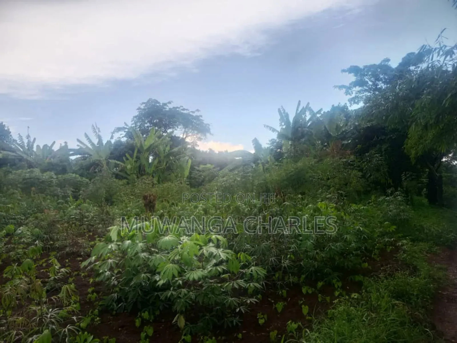 Plots on Sale Kiwenda Luuwunga