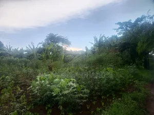 Plots on Sale Kiwenda Luuwunga