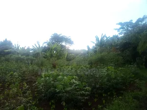 Plots on Sale Kiwenda Luuwunga
