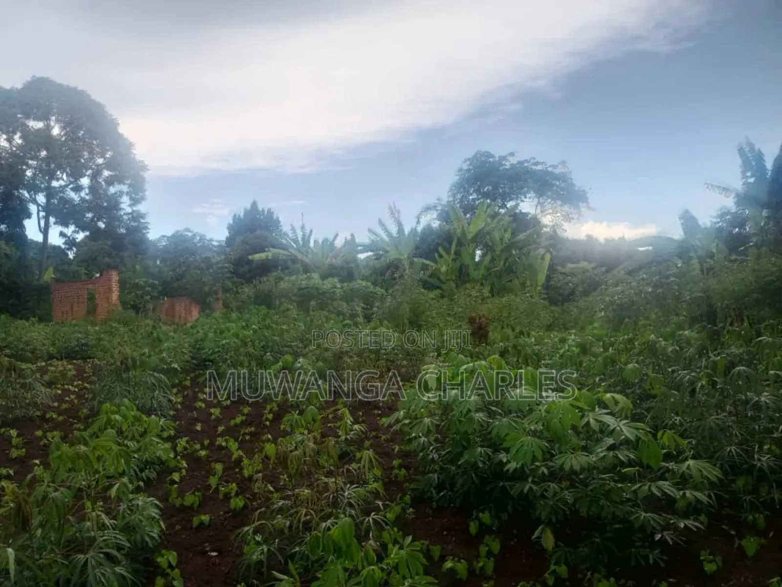Plots on Sale Kiwenda Luuwunga