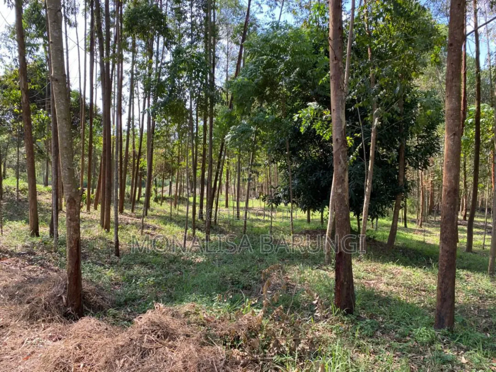 Land in Wobulenzi- Kito 2.2 Hectares