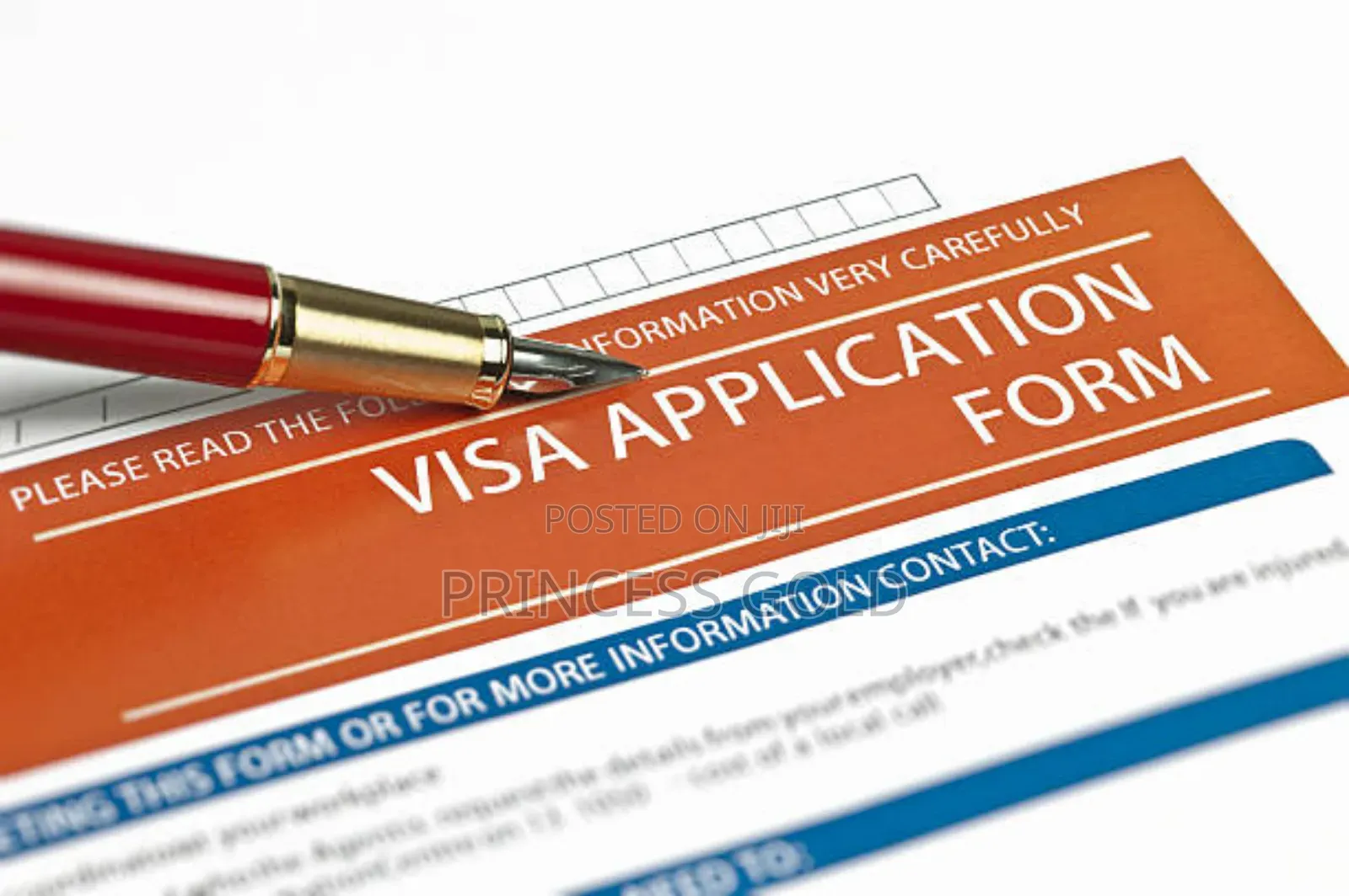 Hassle-Free Visa Processing - Turkey