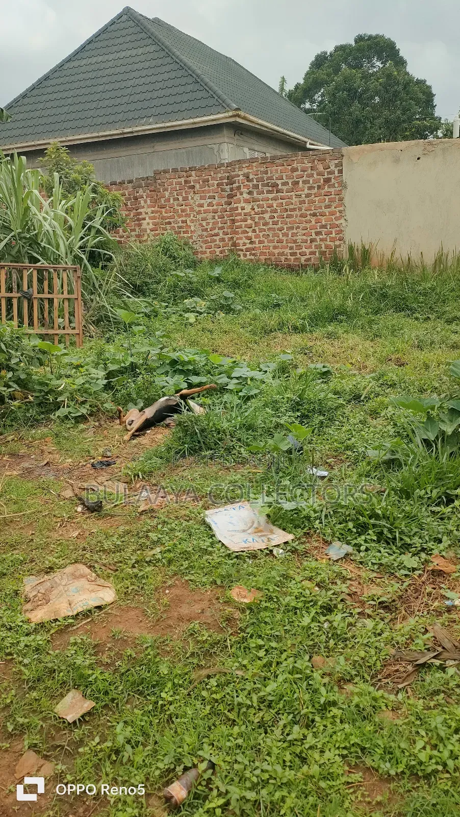 A Prime Residential 50x100 Plot in Kijabijo, Kira Municipality, Title.