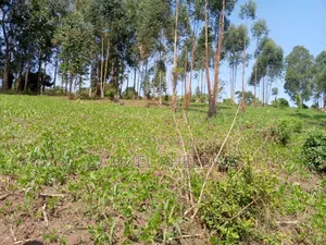 4 Acre of Land for Sale